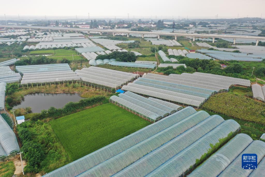 澳门新匍京3523